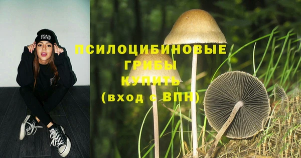круглые Касимов