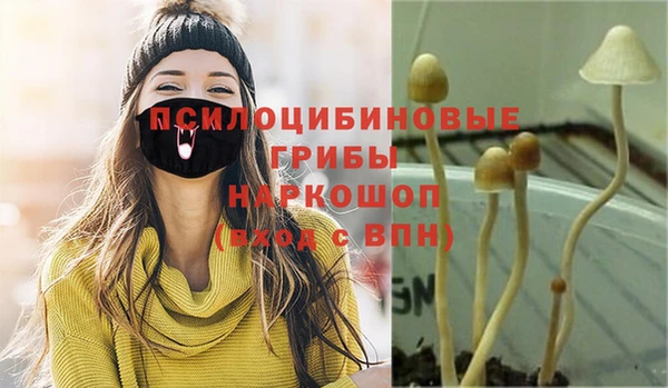 тгк Карпинск