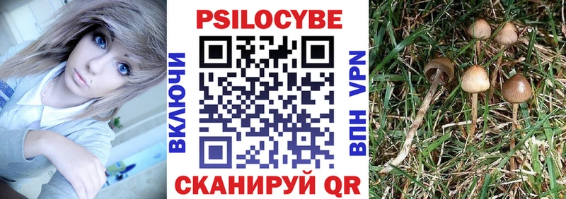 Псилоцибиновые грибы ЛСД Знаменск