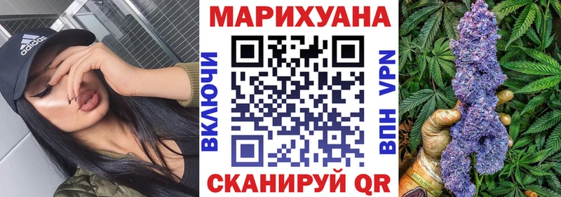Купить где  Знаменск  Каннабис ГИДРОПОН 